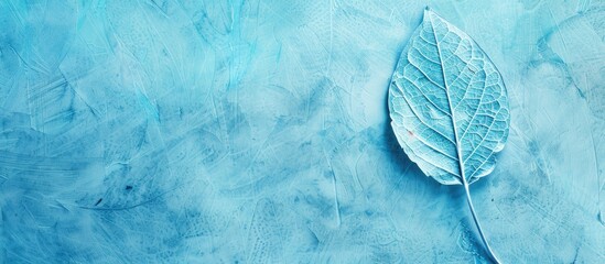 Aufkleber - Blue dry skeleton leaf on pastel background  . with copy space image. Place for adding text or design
