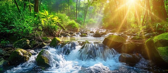 Wall Mural - spring forest nature landscape, beautiful spring stream, river rocks in mountain forest. Copy space image. Place for adding text or design