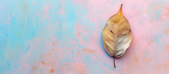 Poster - Single dried leaf on pastel background  Texture  Isolated. Copy space image. Place for adding text and design