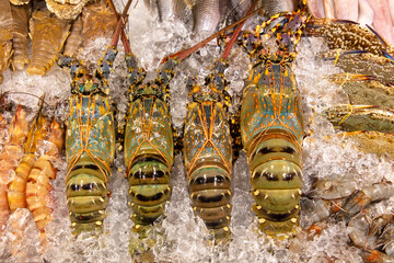 Wall Mural - Shrimp and crayfish on ice at the market.