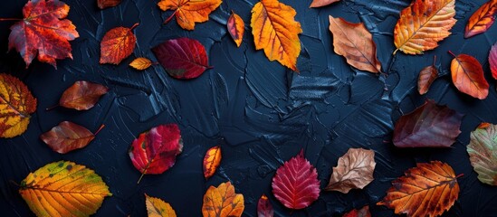 Wall Mural - colorful various autumn fallen leaves on a dark black background. seasonal background and texture. t