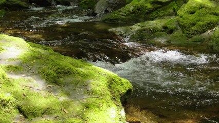 Wall Mural - 赤目四十八滝の水の流れ