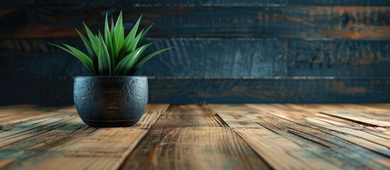 Canvas Print - Notebook with plant pot on old brown wooden table . Copy space image. Place for adding text and design