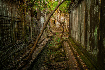 Wall Mural - Beng Mealea Jungle Temple In Cambodia