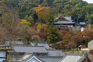 Wall Mural - 奈良 長谷寺 境内の秋景色