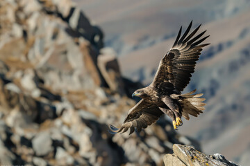 Wall Mural - Golden eagle flying over mountain top with spread wings