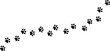 © Kati Moth - Paw vector trail, pet foot print silhouette track, isolated clip art element design
