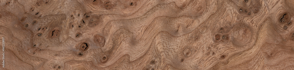 Elm burl veneer with swirling grain patterns and deep, rich textures ...