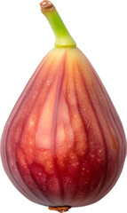 Wall Mural - Close up of a single ripe red fig isolated on transparent background.