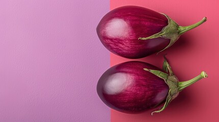 Poster - Two fresh eggplant aubergines on a dual tone purple background with a copy space for text.