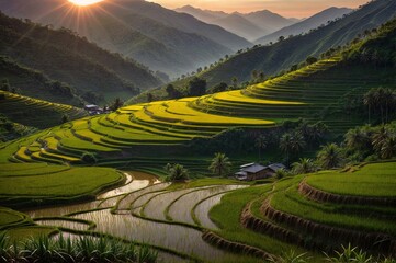 Wall Mural - a breathtaking image of terraced rice fields in a mountainous region during golden house sunset in m