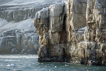 Poster - Cruising the bird cliffs at Alkefjellet. Svalbard Norway