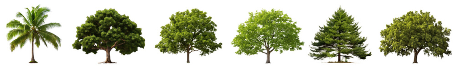 Poster - Green tree elements png cut out element set