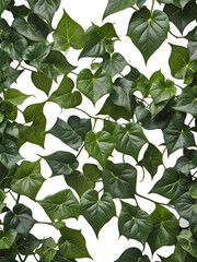 Wall Mural - green leaves seamless pattern