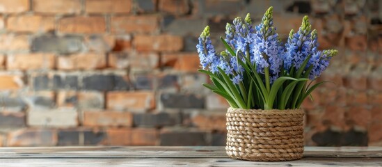 Poster - A charming display of hyacinths in a woven pot on a table by a brick wall, with a vacant area for text; ideal for a copy space image.