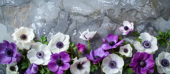 Aufkleber - An arrangement of anemones on a gray stone backdrop with white, purple, and violet blooms. Includes room for text or other elements in the image. copy space available