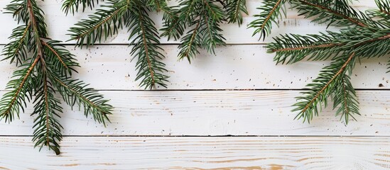Aufkleber - Rustic white wooden board decorated with Christmas fir tree branches, ideal for featuring a copy space image.