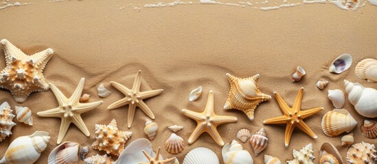 Poster - Flat lay arrangement featuring lovely starfish and seashells on sandy beach with copy space image.