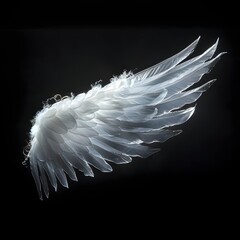 Poster - Glowing Angelic Wing with Soft Radiant Feathers on Black Background