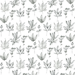 Wall Mural - Watercolor seamless pattern with herbs. Pencil graphic.