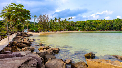 beach with palm trees