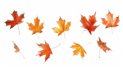 Wall Mural - autumnal leaves frame isolated