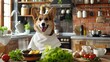 © lililia - A happy corgi dog with a white bib sits at a kitchen table, eating food from a bowl
