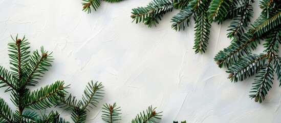 Wall Mural - A festive Christmas and New Year backdrop with a white planck background featuring a Christmas tree branch viewed from above, offering ample copy space image.