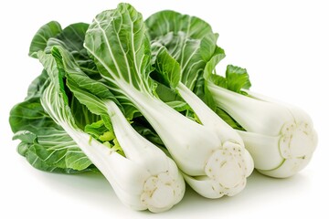 Bok choy, chinese cabbage isolated on white background