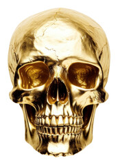 Sticker - PNG Skull gold anthropology jewelry.