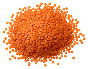 Sticker - PNG Red lentils vegetable plant food.