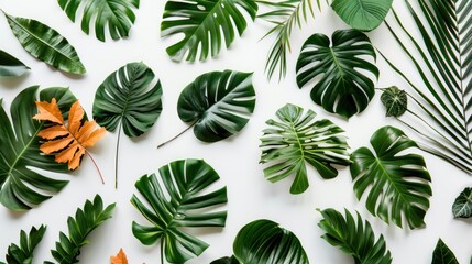 Wall Mural - Tropical Leaf Composition on a White Background