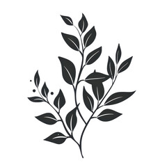 Wall Mural - Minimalistic black silhouette of a leafy branch on a transparent background. Perfect for design, illustration, and creative projects.