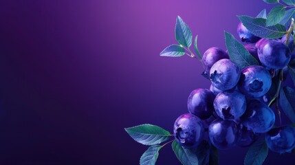 Wall Mural - A bunch of blueberries with leaves on a purple background