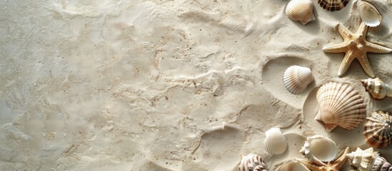 Wall Mural - Top view of seashells on sandy beach creating a textured background with space for text. Ideal for a summer vacation theme, with neutral colors and a focused composition. with copy space image