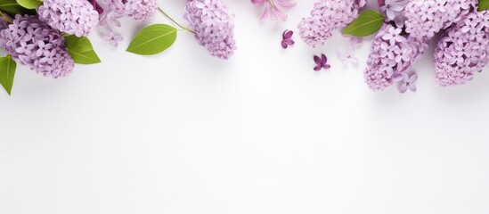 Poster - A floral arrangement featuring lilac flowers placed on a pristine white backdrop, embodying a spring theme with a flat lay layout emphasizing copy space image.