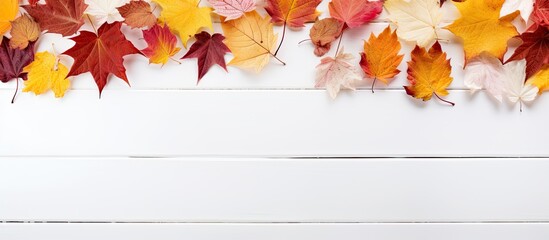 Poster - Autumn leaves arranged artistically on a white wooden surface with copy space image.