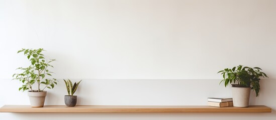 Fototapete - Interior of a white home adorned with houseplants displayed on a wooden shelf, creating a serene atmosphere within the copy space image.