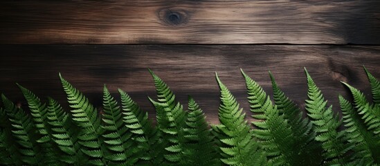 Leinwandbilder - Natural background with fern leaves on a rustic table, featuring copy space image.