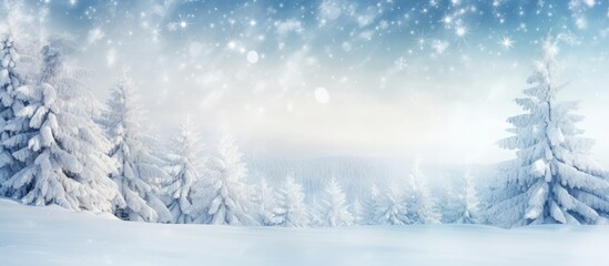 Poster - Snow-covered pine tree branches creating a picturesque winter scene with a blurred background; a lovely winter nature copy space image.