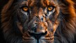 © WrongWay - emotion fear, portrait of a lion with big eyes, emotional look of an animal, dark horror room