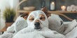 © Anastasiia - Dog relaxing in bed with a beauty mask on funny spa day. Concept Funny Moments, Pet Parenting, Relaxation Time, Spa Day, Unwinding Moments