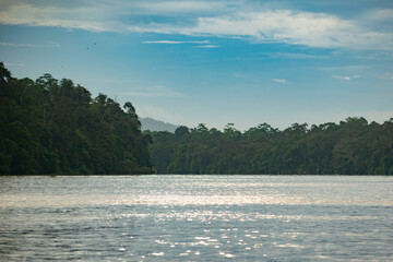 The landscape of tropical river with green trees, palms, rainforest around and blue sky