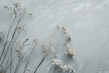 Poster - Dried white flowers arranged on a blue textured surface, evoking a calm and serene atmosphere