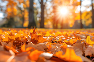 Wall Mural - orange fall leaves in a park, with a sunny autumn natural background. generative ai	
