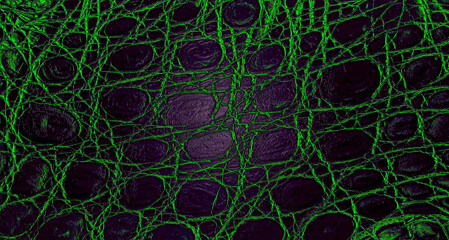 Colored leather texture with rough pattern of dark crocodile skin, as background. Alligator skin, green and violet color.