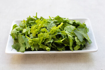 Poster - Fresh organic coriander, vegetables and herbs