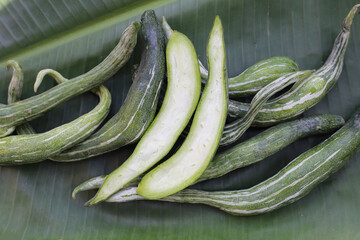 Wall Mural - Snake gourd or serpent gourd