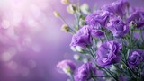 Lilac background with blooming purple eustoma flowers bouquet