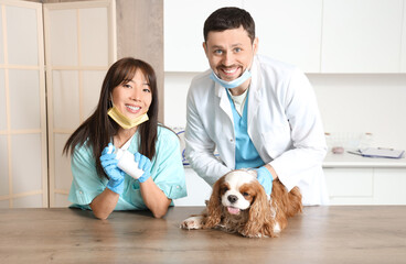 Poster - Veterinarians with pill bottle and cute dog on table in clinic